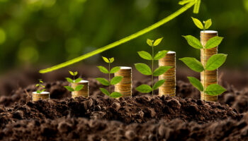 money-growing-in-soil-business-success-concept