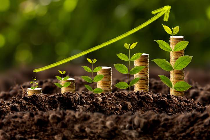 money-growing-in-soil-business-success-concept