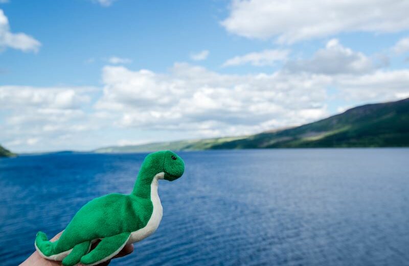 toy-animal-beak-bird-booby-nature-ocean-outdoors-sea-water